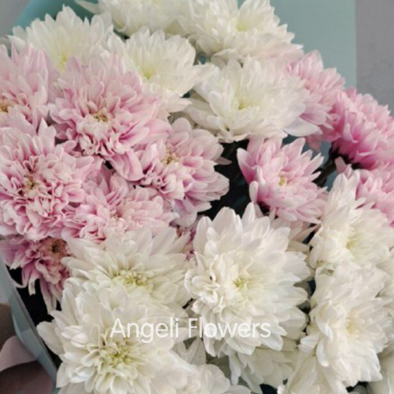 Букет из 5 хризантем Балтик 1