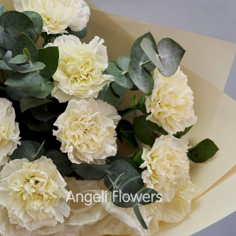 Букет из бежевых Диантусов 2