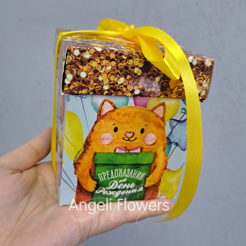 Печенье с предсказаниями «С днем Рождения, кот»