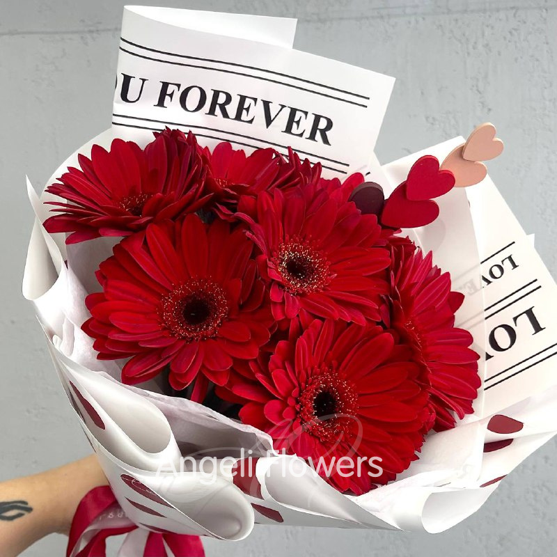 Красные Герберы Любви 2