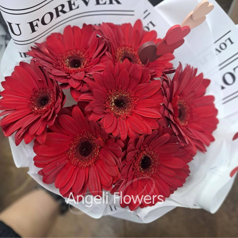 Красные Герберы Любви 1