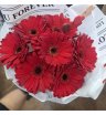 Красные Герберы Любви 1