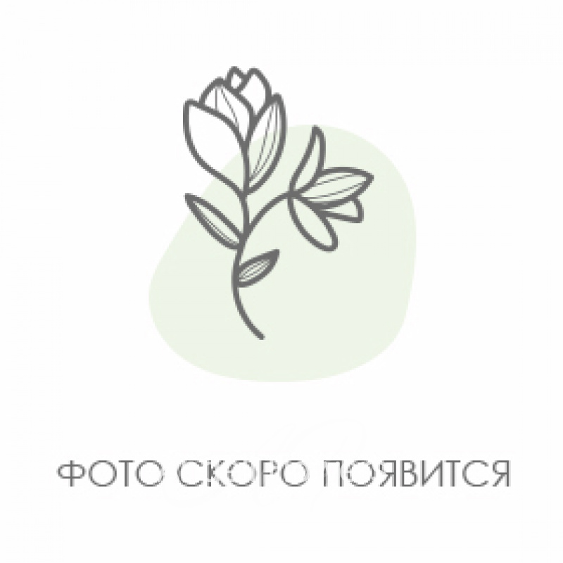 Розовое совершенство 