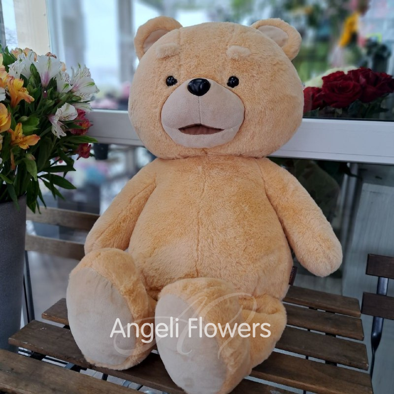 Мишка Тед 50 см 1