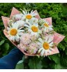 Букет Ромашек Командир и хризантемы 1