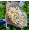 Букет Ромашек Одноголовых и кустовых 1