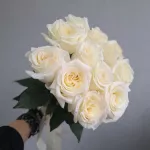 Белые розы