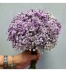 Букет невесты из фиолетовой гипсофилы