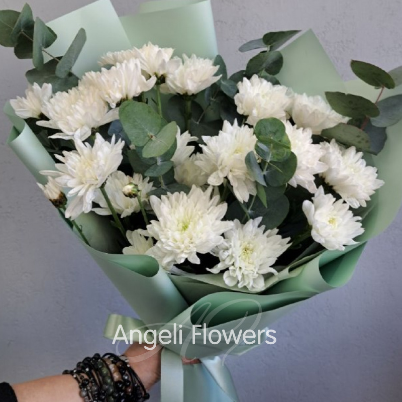 Снежное облако 1