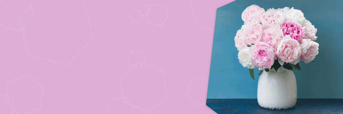Пионы в наличии <br>и на заказ