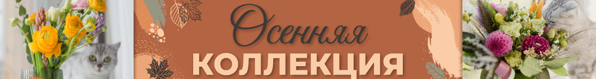 Осенняя коллекция